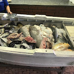 Photo n°5 de l'avis de Joshua.u fait le 01/08/2019 à 20:06 sur le  Retiro do Peixe Assado à Portimão