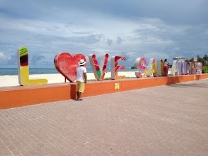 Tropical Mango - photo 1
