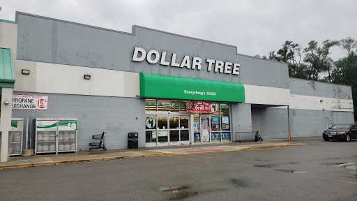Dollar Store «Dollar Tree», reviews and photos, 1031 E Oakton St, Des Plaines, IL 60018, USA