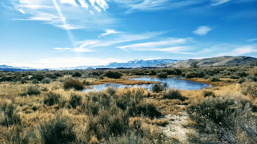 Lazy 5 Regional Park