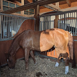 Photo n°4 de l'avis de Thomas.r fait le 07/10/2023 à 04:56 sur le  Gut Rothensande à Malente