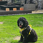 Photo n°1 de l'avis de Tommy.u fait le 06/10/2023 à 17:28 sur le  Restaurant am Teich à Klempau