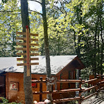 Photo n°9 de l'avis de Irene.o fait le 27/07/2020 à 12:16 sur le  Ristorante Laghetto Verde à Abetone