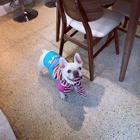 Lone Star Leash Services - Photo 2 - Car repair in , Round Rock