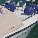 Photo n°3 de l'avis de Gerd.. fait le 29/09/2023 à 18:00 sur le  Ristorante I Due Alfieri à Cisano