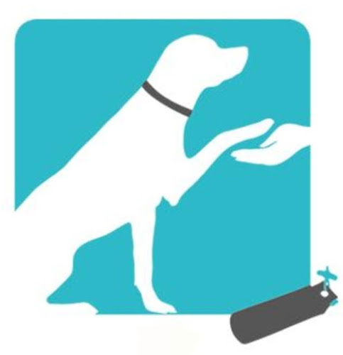 Rezensionen über Hundeschule Hopen & Hundehotel Hopen in Thônex - Hundeschule