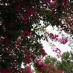 Photo n°10 de l'avis de Emma.u fait le 10/05/2023 à 17:26 sur le  Vilalara Thalassa Resort à Porches