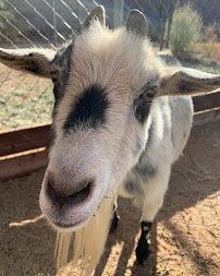 Desert Dawn Private School - Photo 2 - Car repair in Phoenix, AZ, Phoenix