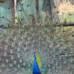 Photo n°2 de l'avis de Cristina.a fait le 08/06/2021 à 05:07 sur le  Casale Sombrino à Supersano