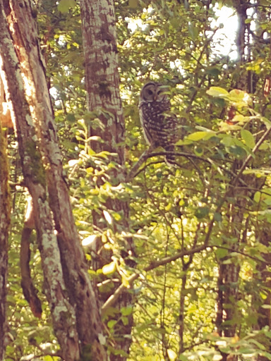 Park «Pioneer Park», reviews and photos, 14545 NW Pioneer Rd, Beaverton, OR 97006, USA