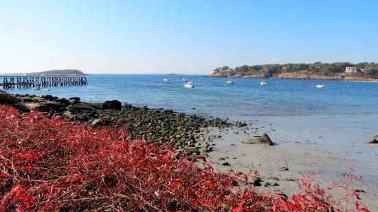 Gray beach
