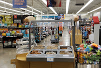 Petco - Photo 6 - Car repair in Houston, TX, Sugar Land