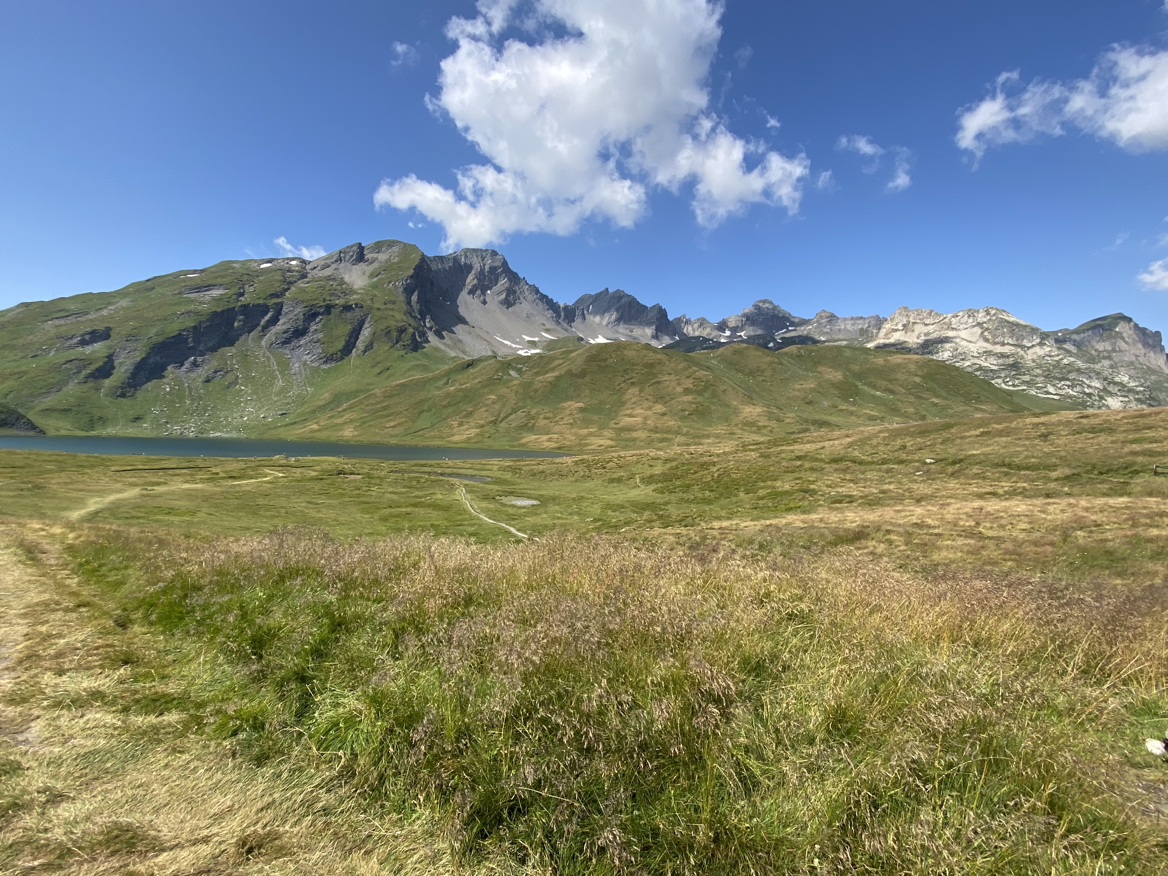 Photo n° 1 de l'avis de Saliha.a fait le 23/08/2021 à 13:51