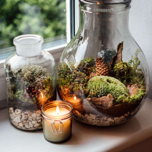 Yoga Home, photo 4