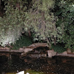 Photo n°9 de l'avis de Enza.i fait le 07/09/2019 à 15:07 sur le  Baccanti Ristorante - Parco dei Pini Sala Ricevimenti à Partanna