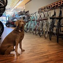 Longmont Bicycle Company & Front Range eBikes - Photo 2 - Car repair in Longmont, CO, Longmont