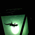 Photo n°1 de l'avis de Maurizio.e fait le 14/11/2022 à 16:56 sur le  La Casa del Priore à Andora