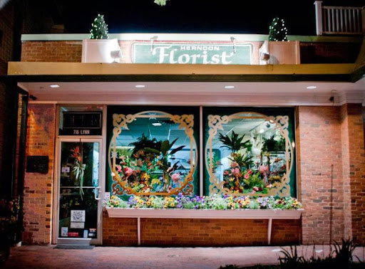 Florist «Herndon Florist, Inc.», reviews and photos, 716 Lynn St, Herndon, VA 20170, USA