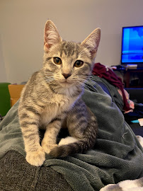 Mud Bay - Photo 6 - Car repair in Kent, WA, Tacoma