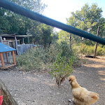 Photo n°1 de l'avis de Marta.o fait le 10/08/2023 à 15:13 sur le  La Gallinella Bar Agricolo à Castagneto Carducci