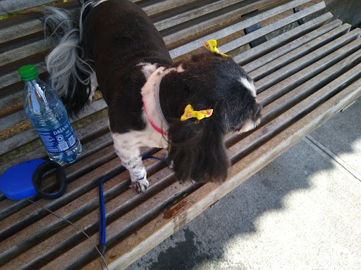 Pet Supply Store «Petco Animal Supplies», reviews and photos, 1530 Black Lake Blvd SW D, Olympia, WA 98502, USA