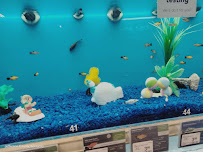 PetSmart - Photo 5 - Car repair in Louisville, KY, Louisville