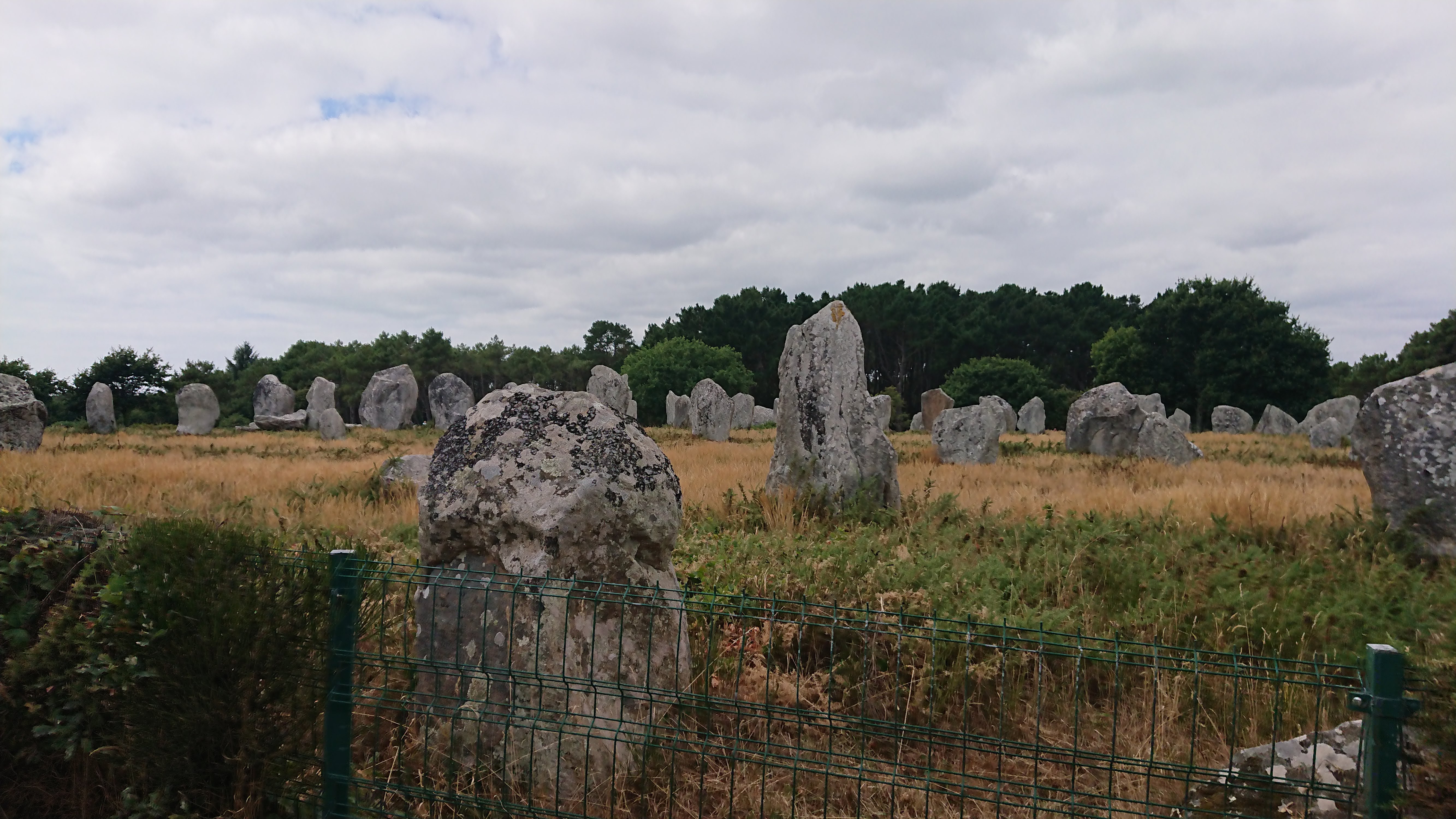 Photo n° 13 de l'avis de Aléane.T fait le 21/07/2022 à 15:37
