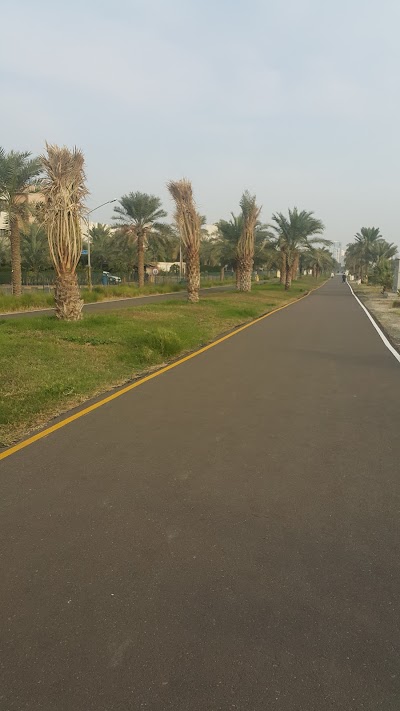 Photos of Walking Area