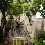 Photo n°2 de l'avis de cristian. fait le 05/08/2021 à 13:18 sur le  A Casa Mia Wine Bar à Tinnura