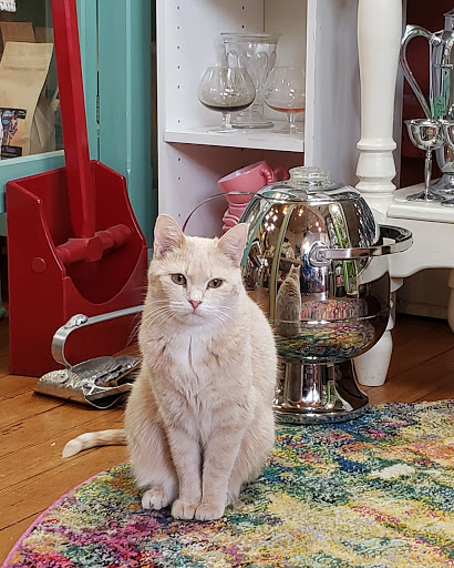 Gift Shop «Paper Moon», reviews and photos, 206 A St, McGregor, IA 52157, USA