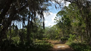 Manasota Scrub Preserve - photo 67