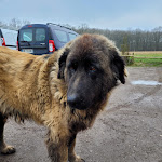 Photo n° 3 de l'avis de Elsa.e fait le 08/11/2021 à 00:11 pour Ferme des 4 Étoiles à Auffargis