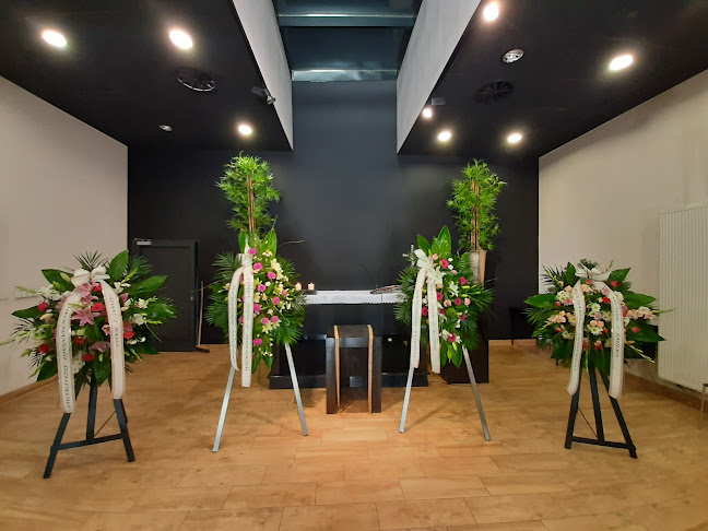 Zakład Pogrzebowy ZEUS Opole, Usługi Pogrzebowe