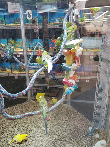Pet Supply Store «Pet Supplies Plus», reviews and photos, 625 Southern Artery, Quincy, MA 02169, USA