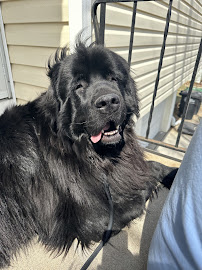 Brakes Plus - Photo 8 - Car repair in Omaha, NE, Omaha