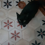 Photo n°3 de l'avis de annacassarparnis@gmail.com.n fait le 24/07/2022 à 22:26 sur le  Cafe Del Corso à Pozzallo