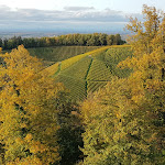 Photo n°11 de l'avis de FISCHER.a fait le 15/09/2021 à 20:46 sur le  Château de Staufenberg à Durbach