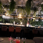 Photo n°14 de l'avis de Martha.t fait le 27/02/2018 à 04:59 sur le  Dachgarten à Mannheim