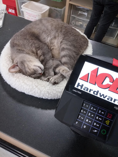 Hardware Store «Hagan Ace Hardware», reviews and photos, 12501 San Jose Blvd, Jacksonville, FL 32223, USA