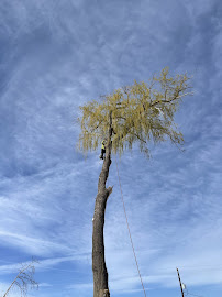 Evergreen Landscaping & Tree Service LLC - Photo 9 - Car repair in , Kennewick