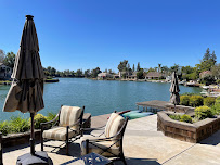 Parasite pest control - Photo 2 - Car repair in , Fremont