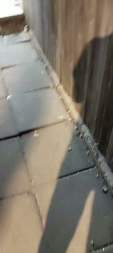 Opinii despre אלפא - פיצה בפתח תקווה în פתח תקווה - פיצרייה