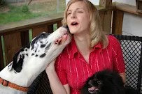 Ace Pet Watchers - Car repair in Roanoke, VA, Roanoke - Rated 4.6/5