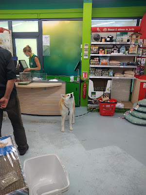 Maxi Zoo Fayet à Fayet