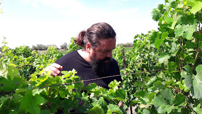 Domaine Guilhem Barré à Ventenac-Cabardès