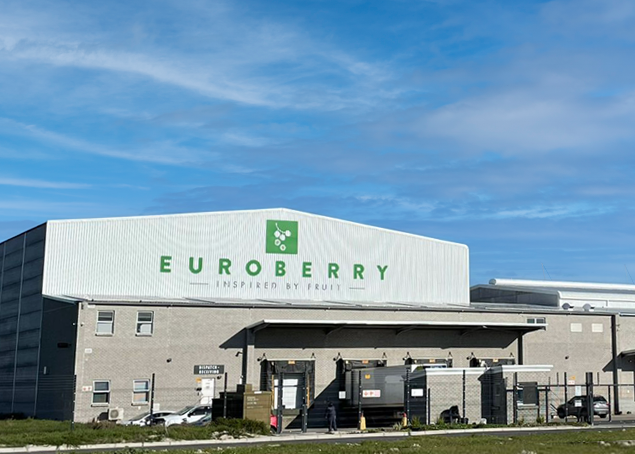 Euroberry