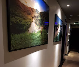 CITI M HOTEL photo