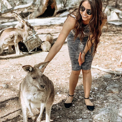 Laptop Repair Service Kingsgrove NSW