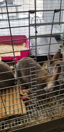 Pet Supply Store «House of Pets Inc», reviews and photos, 29500 Ford Rd, Garden City, MI 48135, USA