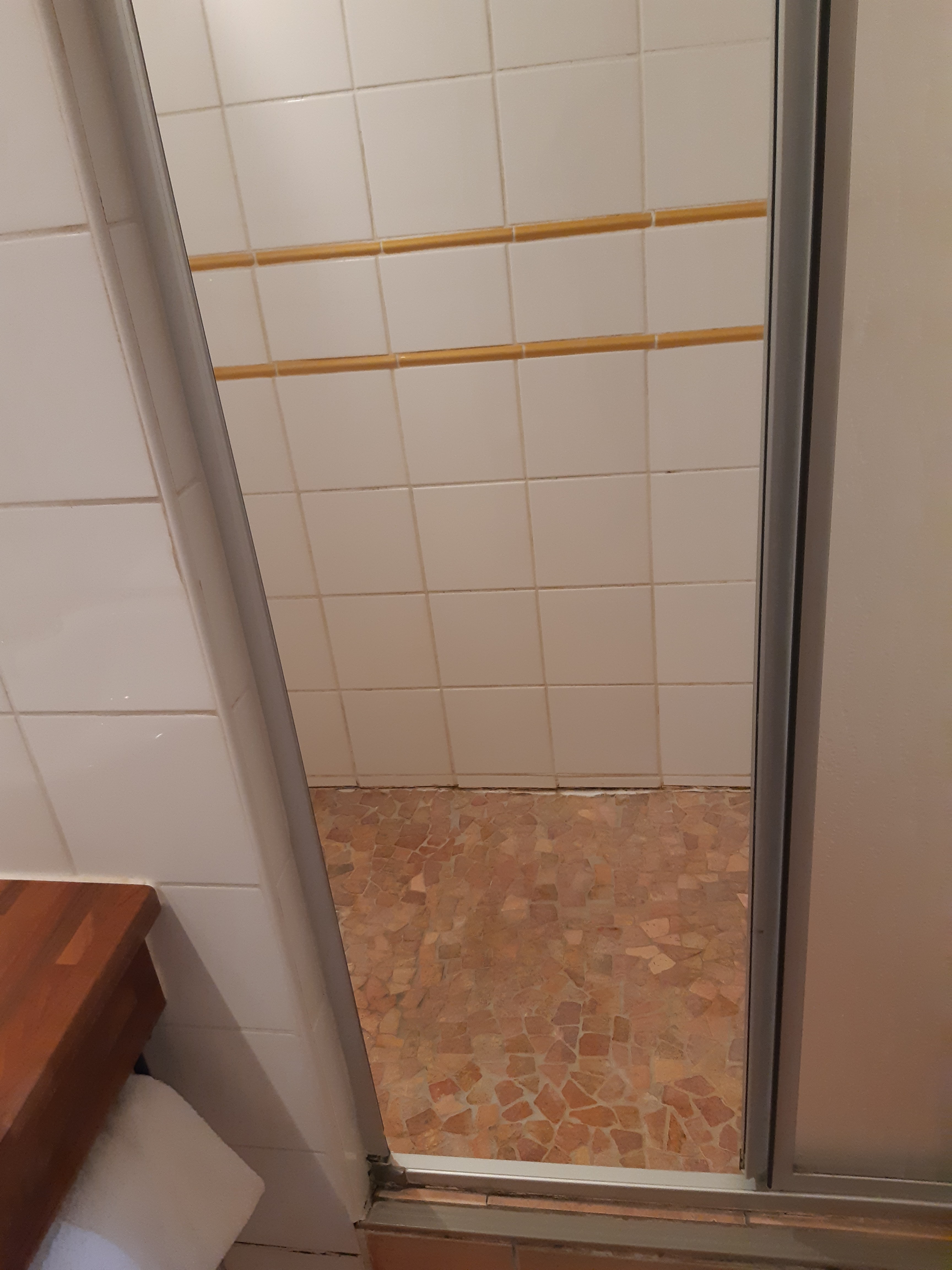 Photo n° 4 de l'avis de Olive.. fait le 13/07/2019 à 15:50